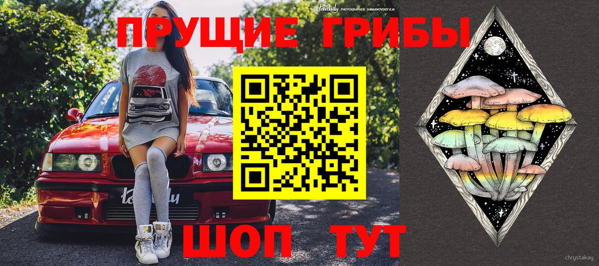 Галлюциногенные грибы GOLDEN TEACHER Великие Луки