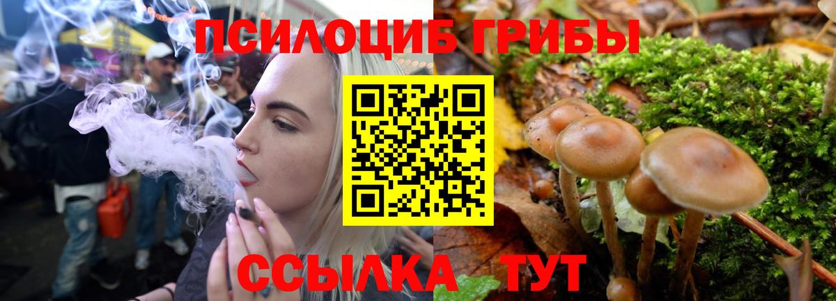 Великие Луки  Псилоцибиновые грибы мицелий  Вход с VPN  Галлюциногенные грибы мухоморы 